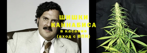 spice Арсеньев
