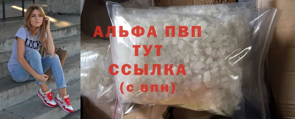 spice Арсеньев