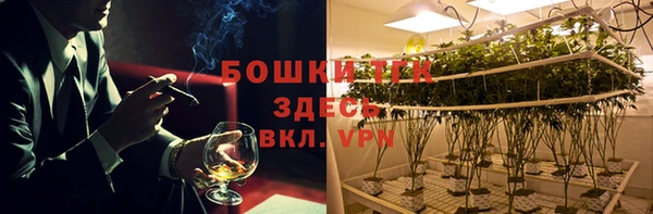 МДПВ Нея