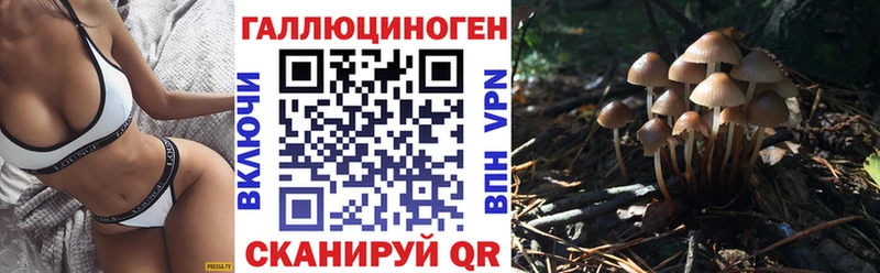 omg tor  Белозерск  Галлюциногенные грибы ЛСД  сколько стоит 